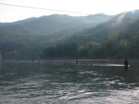 DSC03772.jpg