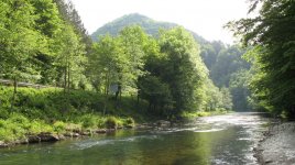 Kupica3.jpg