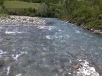 Zlora zuri ka Limu (Small).jpg