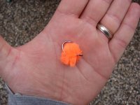 Glo Bug.JPG