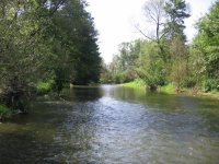 IMG_8286.JPG