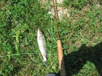 IMG_8287.JPG