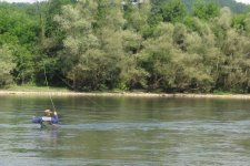 IMG_1136_cr.jpg