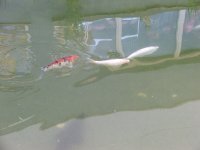 DSCF3926.JPG