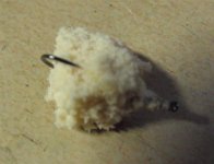 Picture 002 (Medium).jpg
