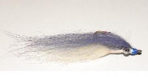 CLOUSER M FOX.jpg