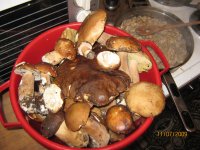 IMG_0905 copy.jpg