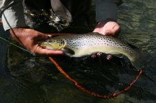 IMG_3312.JPG