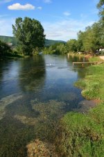IMG_3349.JPG