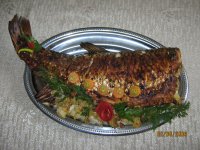 IMG_1209.jpg