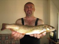 viocica 42 cm.jpg
