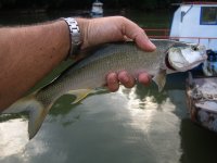 IMG_0082.JPG