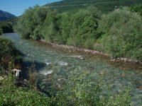 Zlora.jpg