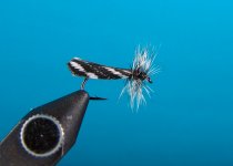 GreyCaddis1.JPG