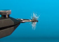 GreyCaddis.JPG