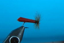 BrownCaddis1.JPG