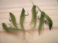 Alga.jpg