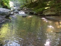 S7301084.JPG