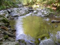 S7301085.JPG
