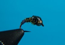 DSC05751.JPG
