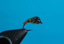 DSC05753.JPG