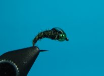 DSC05757.JPG