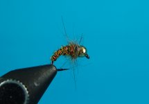 DSC05747.JPG