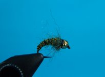 DSC05754.JPG