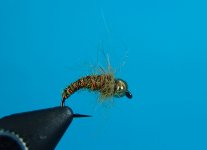 DSC05755.JPG