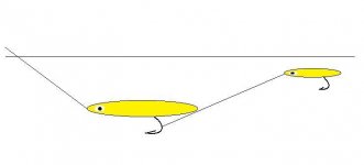 dropper fly.jpg