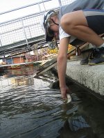 IMG_0003cr.JPG