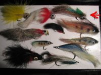 pike streamer in tarpon stille (Medium).JPG