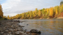 IMG_2038.jpg