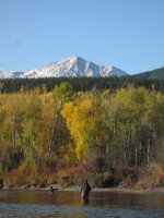 IMG_2094.jpg