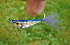 epoxy minnow.jpg