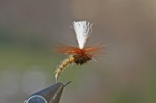 img5901cr2uo6.jpg