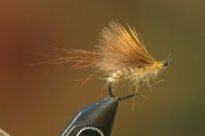 IMG_3553.JPG