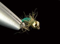 greenwiregoldhead.jpg