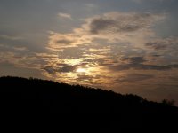 ALIM0478.jpg