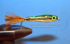 epoxy blacknose dace, 5cm .jpg