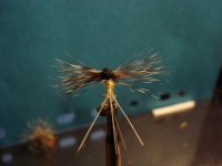 DSC04450.JPG