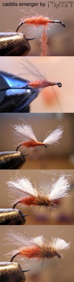 caddis emerger.jpg