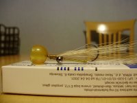 PC070255.JPG
