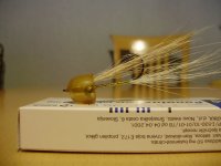 PC070259.JPG