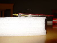 PC070260.JPG