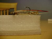 PC070267.JPG