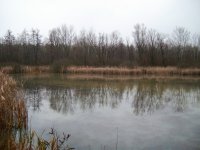 ALIM0648.jpg
