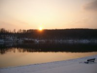 ALIM0658.jpg