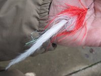 IMG_2291.jpg