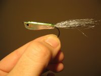 minnow1.jpg